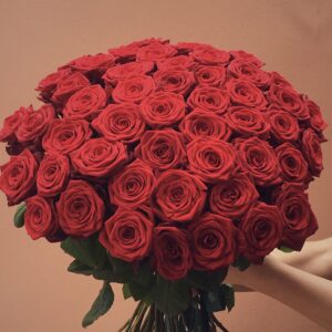 Red Roses 24, 12 or 6